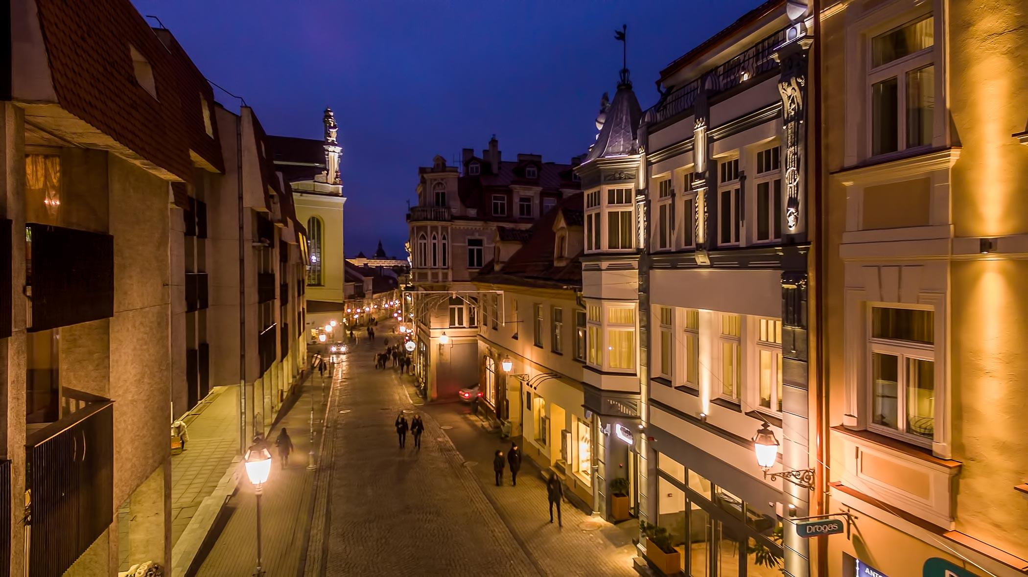 Artagonist Art Hotel Vilna Exterior foto